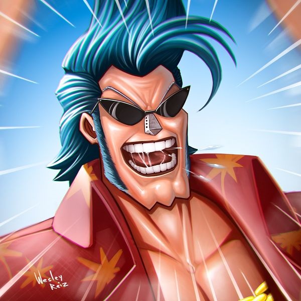 Franky One Piece 13