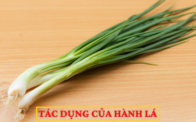 Tác dụng của hành lá 