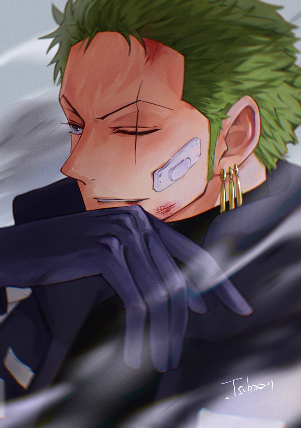 zoro anime 13