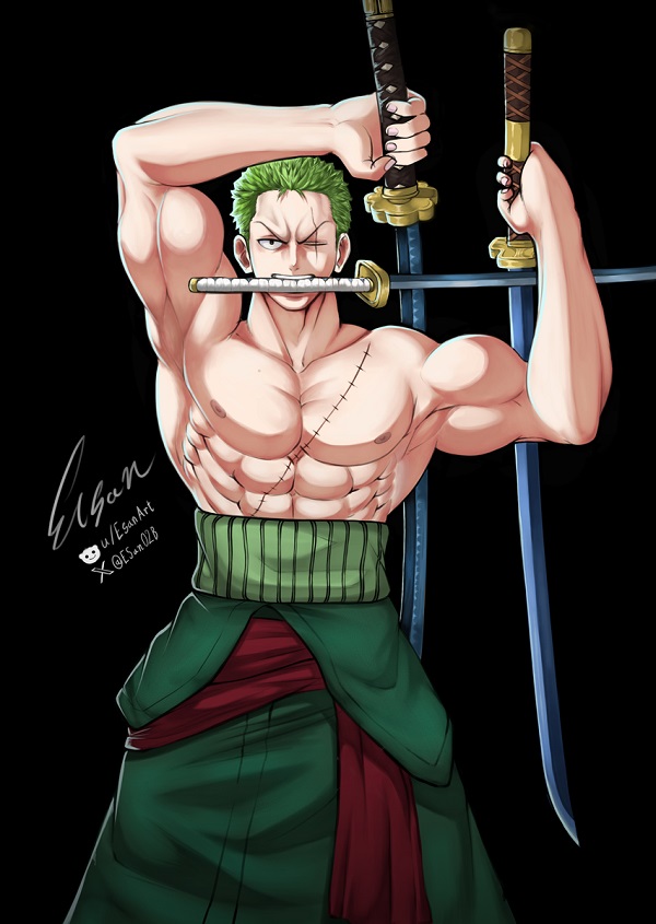 zoro anime 16