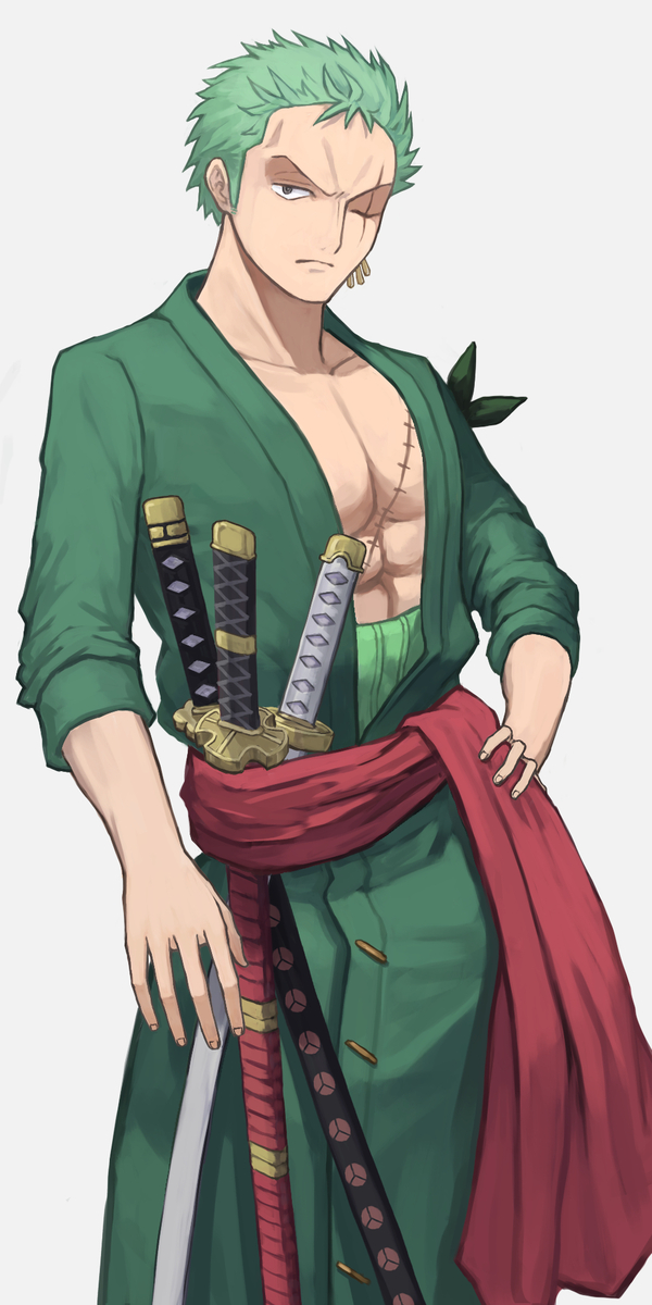 zoro anime 18