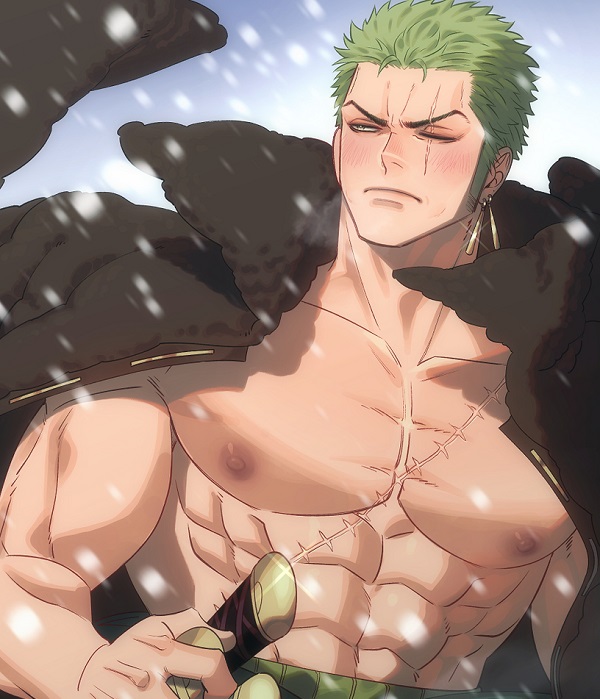 zoro anime 24