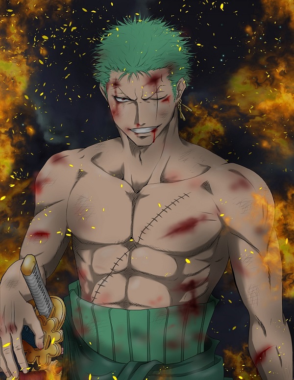 zoro anime 25