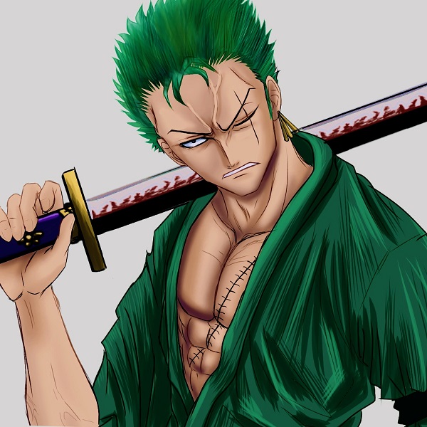 zoro anime 5